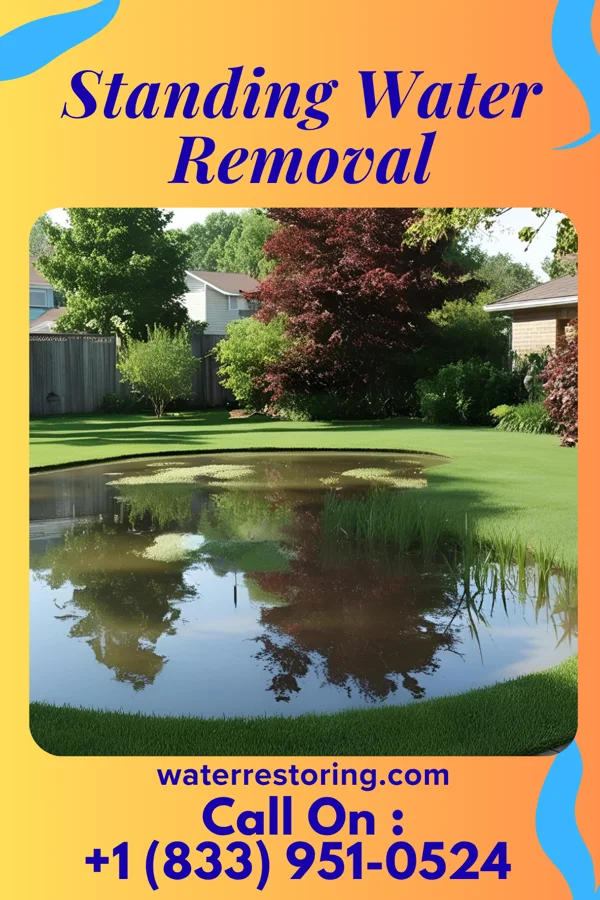 Standing Water Removal in Rainbow City, AZ